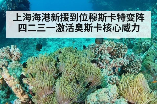 上海海港新援到位穆斯卡特变阵四二三一激活奥斯卡核心威力